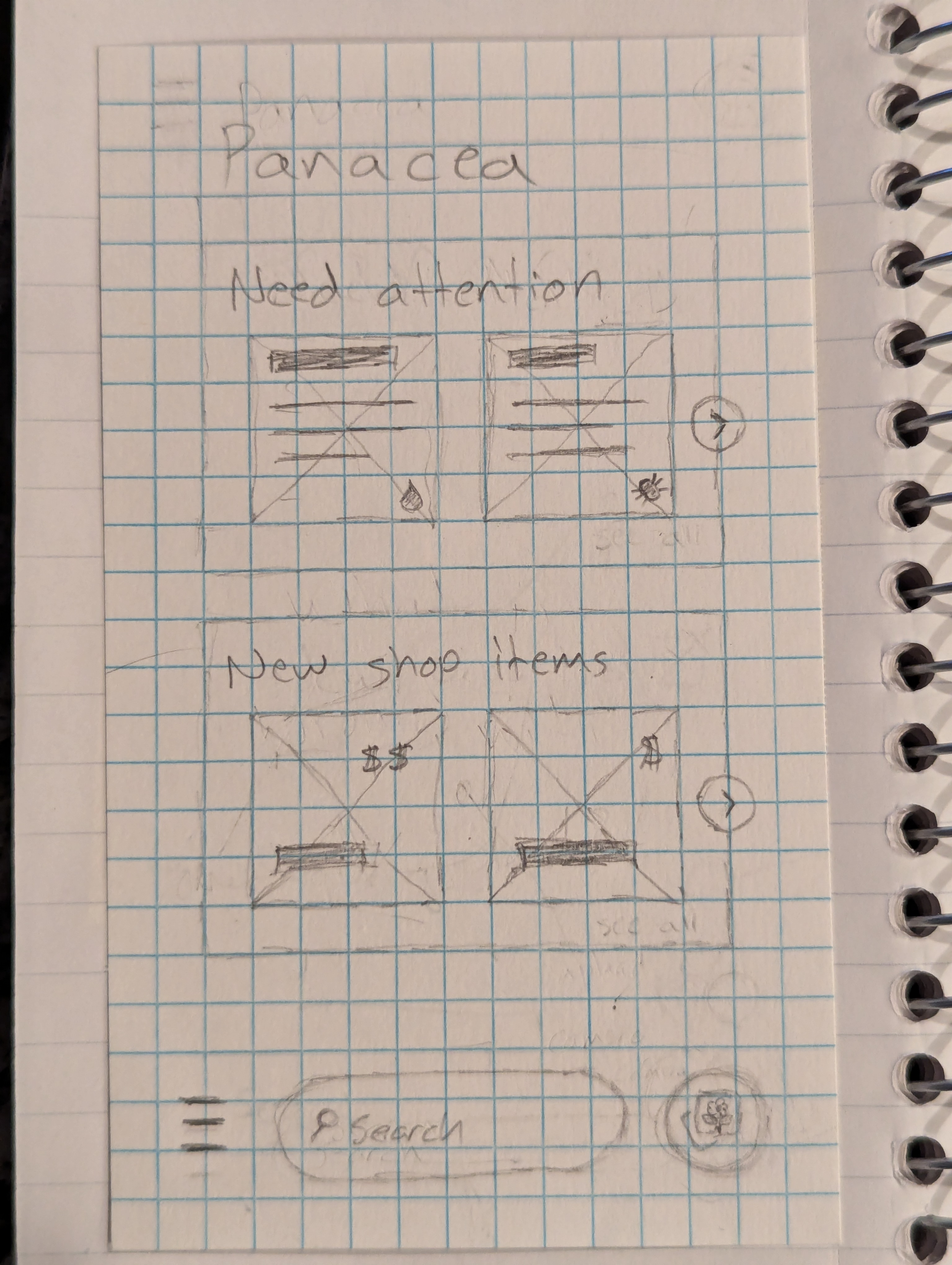 Panacea Paper Wireframe for Home page variant 1